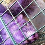 [<b>b1a4</b>] ★★차바로 염색했어요★★