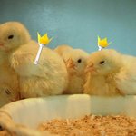 ★★<b>vip</b>콘서트장 실사공개(+무개념뷮사진)★★