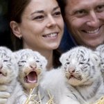 하얀게 매력적인 <b>동물</b>들