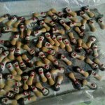 ♥♡♥♡♥♡♥♡사랑하는가족을위한초콜릿만들기!!사진有♥♡♥♡♥♡♥♡