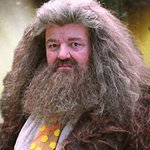 ■□■□사진有)미용실갔다가 <b>개털</b> 해그리드됐어요 **+추가)