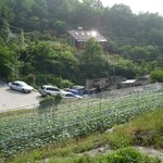 <b>종로구</b> 부암동 뒷골 풍경