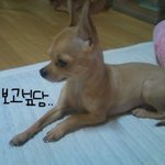 ★★베플한번만되면제<b>쌩얼</b>올림!!★★