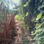 수정有느님)))))))))))★☆★☆★훈남훈녀사진많多))선생님 보고싶어요...