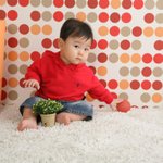 ★★(사진有)훈훈한 제조카를 소개합니다(스압주의)★★