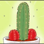 ☆★☆★<b>순수</b>성테스트!!☆★☆★