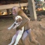 6.25 전쟁때 자식안고 <b>필사</b>적으로 피하는 아버지[슬픔]