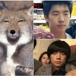 <b>티벳</b>여우를사진이아닌 영상으로본게처음이었어