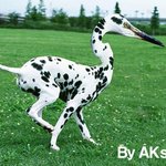 졸업선물은,,,초콜렛?! <b>nono</b>~!! 요런 졸업선물도 좋을듯한디~