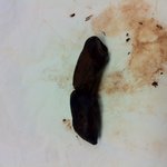 유부남인데 직장동료한테 고백을 받았어요