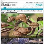 ★☆★ 동물들의 신기한 은신술 ★☆★