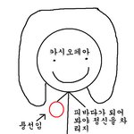카시오페아 <b>엘프</b> 뷔아피 의인화