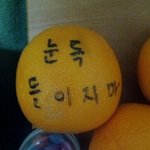 ★★★사진有))) 스마트폰필요없는차세대메신저 오렌지톡★★★