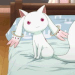 내 실사는 <b>올린지</b> 한참 오래전에 올렸다지