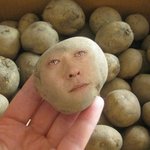 여잔데 <b>콧수염</b>,,,,,,