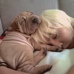 뷥분들에개이름짓기