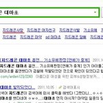 <b>지드</b>레곤 사망