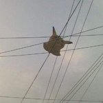 우리동네 <b>전기</b> 공급자