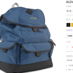 이 가방어떤가요 ??