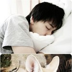 <b>엽사</b>랄까..??