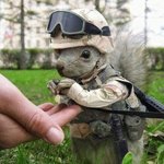 ★★★★★웃긴짤방모음 ㅋㅋ스압주의 2