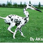 졸업&amp;입학선물 추천리스트 - 내가 갖고싶었던것도 있나?