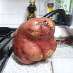 날도 추운데 고구마나 쪄먹을까