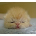 <b>전</b> 이제 <b>슬</b> 자리에 누워야할듯 ㅎ