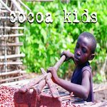 ▼▼▼▼초콜릿의 진실▼▼▼▼