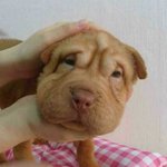 ★★★<b>보호</b>본능 자극시키는 여자 패션★★★