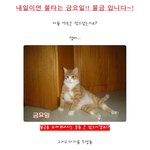 <b>추운</b> 겨울 집에만 있는 이런 사람들, 파파 꼭 봐야한다?!