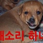 드디어 내게도 초능력이 생긴 것 같다.