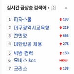네이년에
