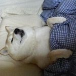 ★★★남자<b>눈</b>을 사로잡는 <b>여자</b> 패션★★★