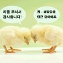 안녕하십니까??