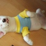 ★★★패션만으로 <b>번호</b>따이는법[여자편]★★★