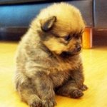 ★★★카페랑 어울리는 <b>패션</b>[남/녀]★★★