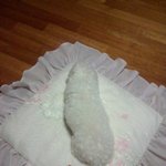 ★★★★★★나도 개판도전★★★★★★★부제:한과견