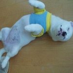 ★★★해외 패션 따라잡기 <b>tip</b>★★★