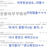 <b>호야</b>랑인슾의 부족한 댓글놀이2