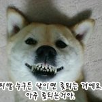 아 시바 경찰서에서 전화왔다