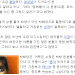 진정한무개념팬덤 갈켜줄까