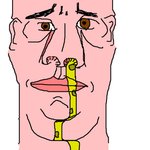 ★★★★<b>휴지</b> 필수★★★★