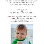 하울링 패러디 영상 ㅋㅋ 빵터지긔 ㅋㅋㅋㅋㅋ <b>코빅</b> ㅋㅋ