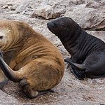 이쁜 동물들 알아가는 시간 가져요.