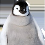 아진짜이<b>까페</b>한번만와주면안되겠니