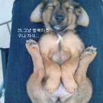 ★★<b>유머러스</b>한 남자되기 5가지일★★