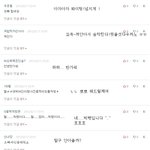 ●<b>삐약이</b>댓놀1●