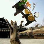 사진有)동생에게 내가 어여쁘냐고 물어봤다가...ㅜㅜ