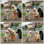 ♥♥이거슨 동물판 뿌잉뿌잉♥♥
